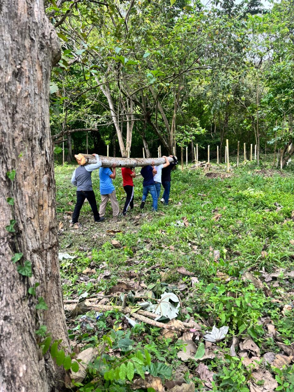 Asesoría con docente